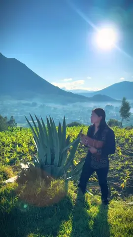 A post by @raimy_salazar_official on TikTok caption: Ave María - Panflute #LiveMusic #otavalo #imbabura #mountain #lake #flute #relax #meditations #CapCut 