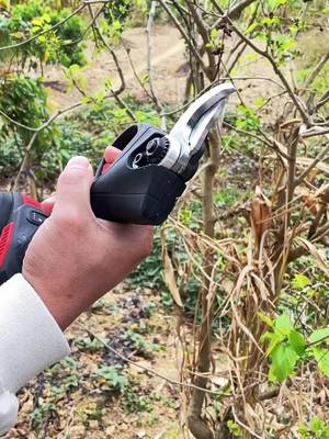 A post by @angela_baobao on TikTok caption: A very labor-saving and easy-to-use electric trimmer#TikTokShop #us #shipping #foryourpage #Electrictrimmer #Landscaping #Crops 