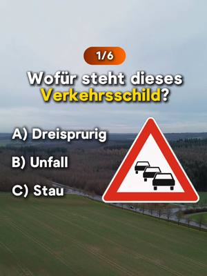 A post by @theoriefuchs on TikTok caption: Wie viel Richtige hattest du?  #fahrschule #führerschein #quiz