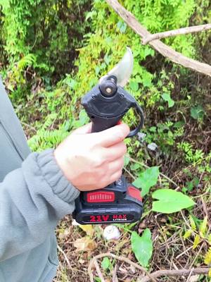 A post by @angela_baobao on TikTok caption: A very labor-saving and easy-to-use electric trimmer#TikTokShop #us #shipping #foryourpage #Electrictrimmer #Landscaping #Crops 