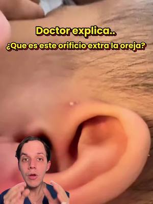 A post by @farmacotips on TikTok caption: ¿Qué es este hueco extra en la oreja? 🤓 #medicina #estudio #salud 