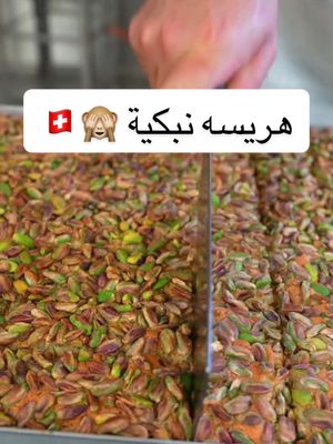 A post by @galaxy.patisserie on TikTok caption: الرد على @Rasha Razzaq @Marwan.Elhaj #معمل_حلويات_جالكسي_في_زيورخ_سويسرا #Galaxy_Patissrie #baklava #بقلاه #بقلاة_اكسترا #مبرومة_بالفستق لجميع المناسبات الخاصة والعامة في جميع أنحاء سويسرا zrüch #سويسرا🇨🇭  العنوان في : Galaxy Patisserie, Schaffhauserstrasse 455, 8052 Zürich