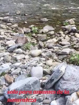 A post by @profetaisaias.1234 on TikTok caption: #nature #naturaleza #mexico #vida #rancho 