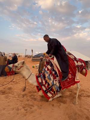 A post by @leethe4th on TikTok caption: Replying to @Santicarreno When you’re 6’9 trying to ride a camel! 🐫🤣 #foryou #foryoupage #leethe4th #saudiarabia #riyadhseason @موسم الرياض 