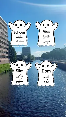 A post by @raymonddillmanalv on TikTok caption: #تعليم_اللغة_الهولندية #للمبتدئين #نتعلم_معاً #كل_يوم_جملة #الشعب_الصيني_ماله_حل😂😂 #اكسبلور 