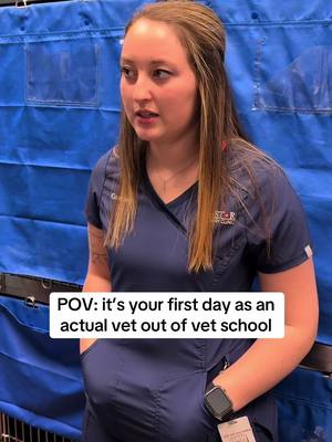 A post by @allstarveterinaryclinic on TikTok caption: Vet students: it gets better ☺️ #veterinarian #vetstudent #vetschool #vetmed #vetclinic 