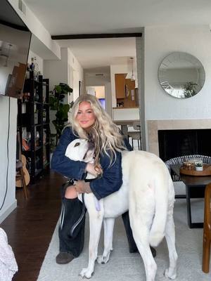 A post by @kambriella on TikTok caption: Just a girl and her big dog #dogmom #dog #mastador 