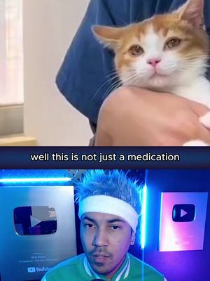 A post by @hudsouza on TikTok caption: You Need to give this vaccine to your cat! #cat