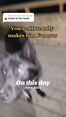 A post by @trickster.loki on TikTok caption: #onthisday 