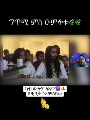 A post by @habaritmediahouse on TikTok caption: #eritreantiktok #habeshatiktok #tigraytiktok #tigrinyamusic #tigraytiktok #asmerashikor 