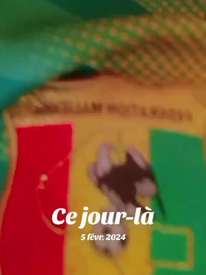 A post by @siroudiall on TikTok caption: #cejour-là