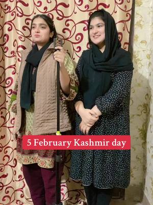 A post by @naeemraza076 on TikTok caption: #5 February Kashmir day#naeemraza #foryoupage #tiktokviral #foryou #viralvideo #trending #trendingvideo 