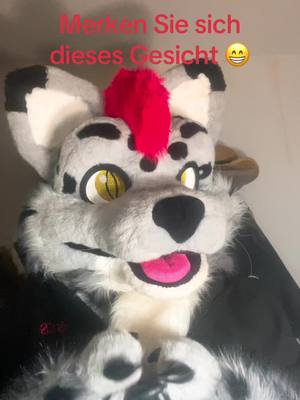 A post by @yukiro19892 on TikTok caption: #furryfandom #furry #furry4life #foryou #foryoupage #fursuitersoftiktok #Fuirsuit #germanfurry #Furryfandom 