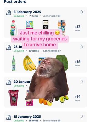 A post by @goflink on TikTok caption: It me, just a chill one waiting for the groceries 🥹🛍️🥑🏠