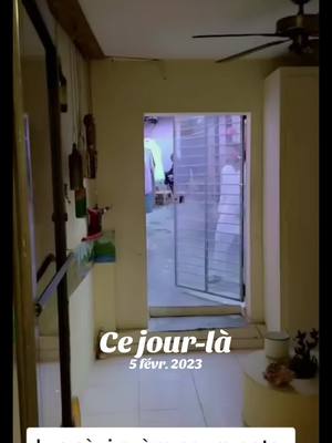 A post by @maitrebijou on TikTok caption: #cejour-là 