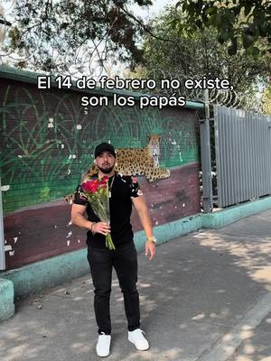 A post by @gmalexjr on TikTok caption: Broma el amor es maravilloso❤️ #gym #gymmotivation #gymrat #fitness #fitnessmotivation #motivation #cdmx🇲🇽 #mexico🇲🇽 #gmalexjr 