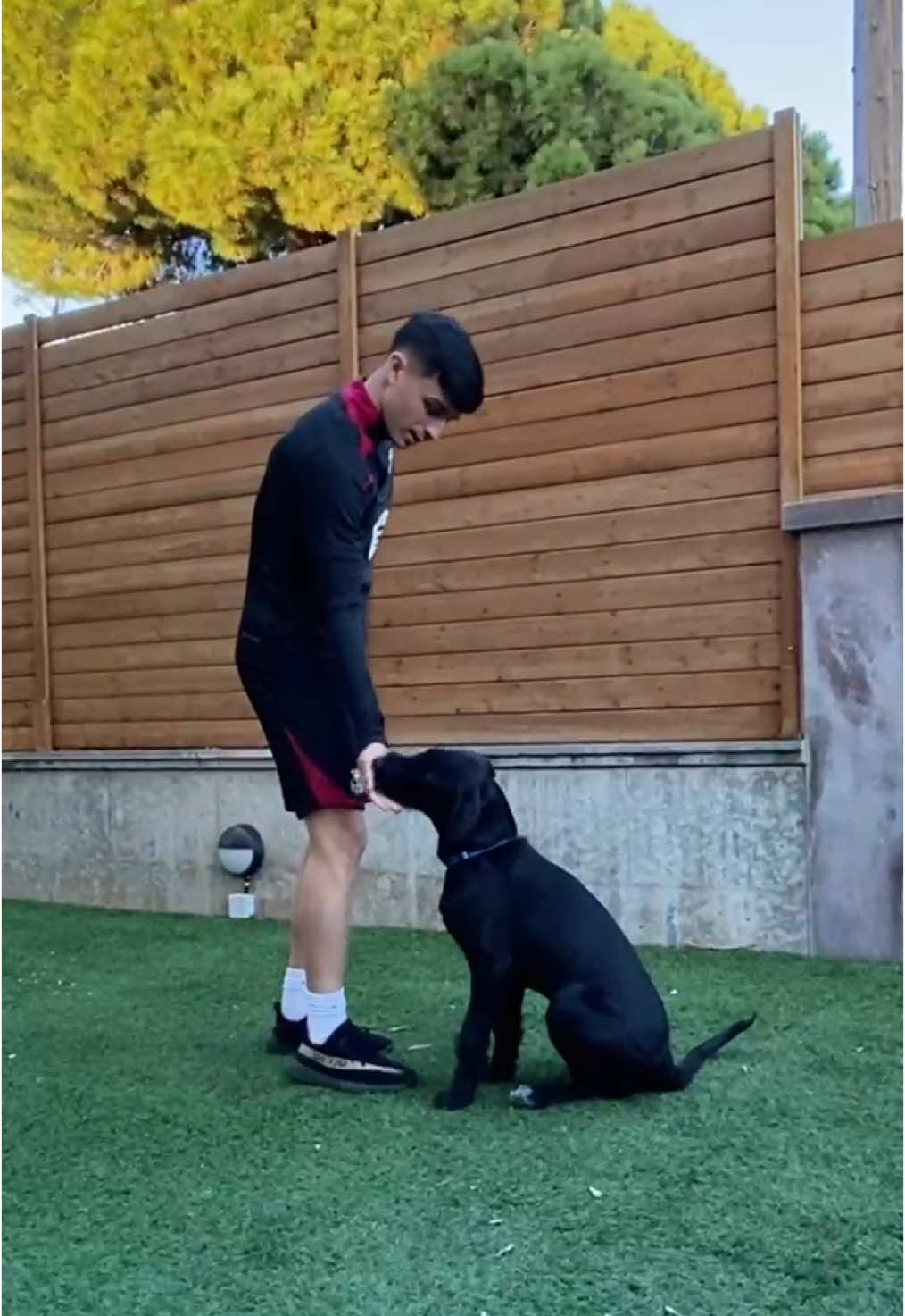 A post by @pedri on TikTok caption: Mi jugoncete🐶 #fyp #nilo #futbol