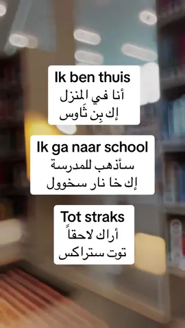 A post by @raymonddillmanalv on TikTok caption: #CapCut #تعليم_اللغة_الهولندية #للمبتدئين #نتعلم_معاً #كل_يوم_جملة #الشعب_الصيني_ماله_حل😂😂 #اكسبلور 