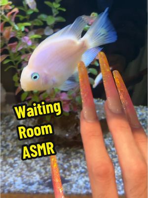 A post by @sissyboyd on TikTok caption: Waiting room 🐠 🦷 #asmrinpublic #asmr #asmrsounds #publicasmr 