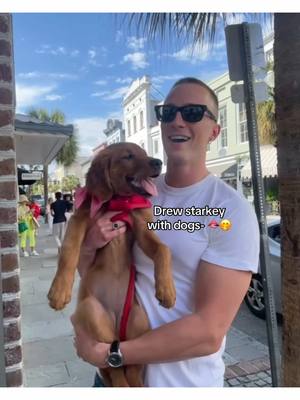 A post by @nsldrewstarkey on TikTok caption: .😍#myhusband #DREWSTARKEY #nsldrewstarkey #drewstarkeywithdogs #FYP @adorestrkey @✦ вℓαιя ✦ 💋 @Drew Starkey @lorena .🎧 @Julieta Garcia @˗ˏˋ 𝐇𝟐𝟎 𝐥𝐨𝐯𝐞𝐫! 🌊 ´ˎ˗ @˗ˏˋ 𝐄𝐋𝐋𝐄 ´ˎ˗ 🧘🏼‍♀️ @Jules💐💘🎀 