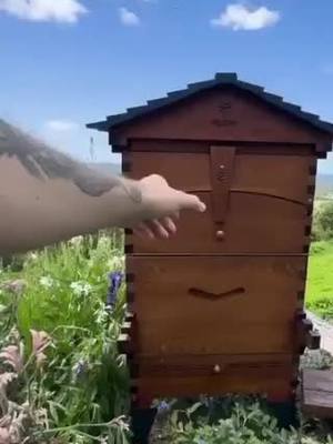 A post by @cryptogemsandscams on TikTok caption: This bee- friendly hive house