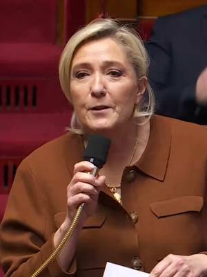 A post by @mlp.officiel on TikTok caption: Le droit du sol n'est pas dans la Constitution française. Par une simple loi, nous pourrions, et même nous devrions supprimer le droit du sol à Mayotte et sur l'ensemble du territoire national, et faire cesser cet appel d'air de l'immigration clandestine.