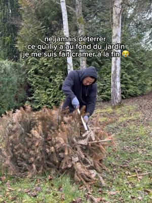 A post by @abregefrere on TikTok caption: Il était temps d’abréger le sapin 🌲… Enfin… les 🌲🌲 😭 #abregefrere #sapin #dechetsverts  T’as jeté ton sapin ?