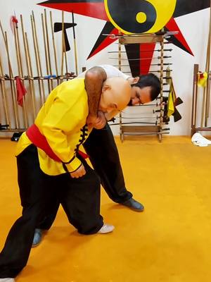 A post by @tskfkungfu on TikTok caption: #tskf #kungfu #wushu #artemarcial #artesmarciais #defesapessoal #shaolin #chikung