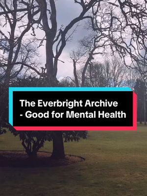 A post by @sphinxakashaa on TikTok caption: The newest episode of #TheEverbrightArchive just dropped, you should listen to it. It’ll be good for your mental health.  - My table includes: @🧸 Selkie 🧸 @madnessdiamond @brynniursa and @Sweet T  #TTRPGActualPlayAnthologyPodcast #ttrpgtok #fantasytok #actualplaytok #ttrpg #FabulaUltima #WalkingTheStoriedPath #fyp 