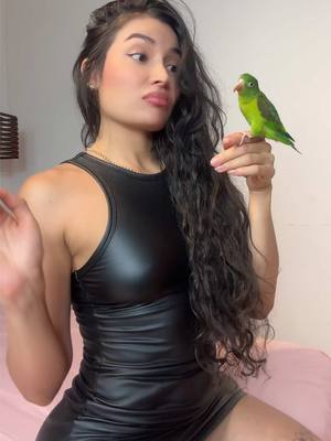 A post by @angiesegundacuenta on TikTok caption: Mi amorcito picón 🦜! 