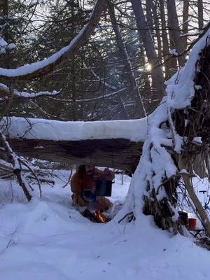 A post by @oldtimehawkey on TikTok caption: tree stump stew 🌲 #asmr 