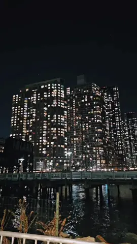 A post by @shairinakhan on TikTok caption: #2025 #fyp #foryoupage #nyc 