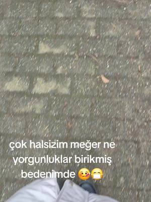 A post by @gulsah_akyurek on TikTok