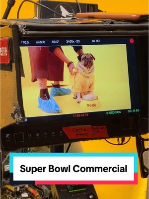 A post by @dougthepug on TikTok caption: That one time Doug was in a #SuperBowl commercial!  #dogsoftiktok #dougthepug 