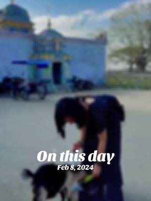 A post by @maypoe028 on TikTok caption: #onthisday 