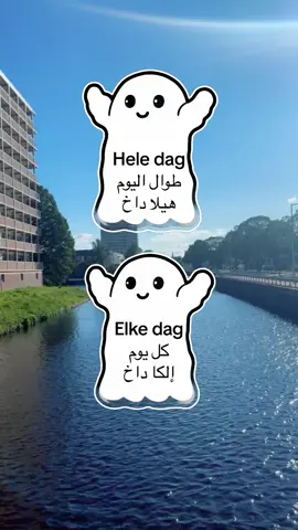 A post by @raymonddillmanalv on TikTok caption: #CapCut #تعليم_اللغة_الهولندية #للمبتدئين #نتعلم_معاً #كل_يوم_جملة #الشعب_الصيني_ماله_حل😂😂 #اكسبلور 