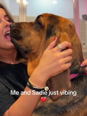 A post by @lilliuzivertt on TikTok caption: My Sadie bug my shayla ❤️