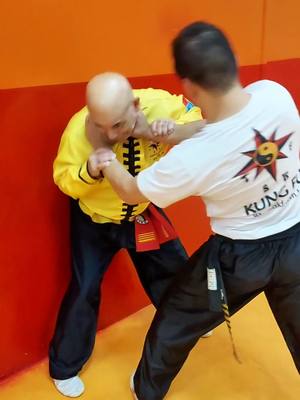 A post by @tskfkungfu on TikTok caption: #tskf #kungfu #wushu #artemarcial #artesmarciais #defesapessoal #shaolin #chikung 