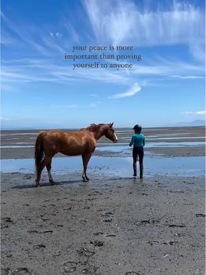 A post by @sdequus on TikTok caption: Your and your horse’s peace is more important than whether or not people see the value in what you’re doing. When you shift from prioritizing constant progress that abides by industry competitiveness to enjoying the individual process of growth and bonding alongside your horse, it tends to ruffle feathers. When you break free from relying on the validation of industry standards and fast paced training programs that prioritize quick fixes above wellbeing, it often makes those who are not ready to do so feel threatened. And in this state of defensiveness, they may try to degrade you. They may insist that rewards based training is ineffective, pointless or “just for tricks.” And you may feel that pull to prove them wrong, even if it elevates your stress and makes the peace you’ve found start to feel like a chore that you can only be relieved from if people validate it. Don’t buy in. You can’t earn respect from people committed to misunderstanding you by playing their game. Continue on your own path and find validation in the peace you find and what positive changes that YOU know you see in your horse. Other people need not agree, if they stick around watching you for long enough, the peace and belonging you’ve found will be tangible.  The level of competitiveness and how much people are pushed to compare themselves to others in the horse world is so toxic. Breaking free is hard, don’t let people drag you back down.