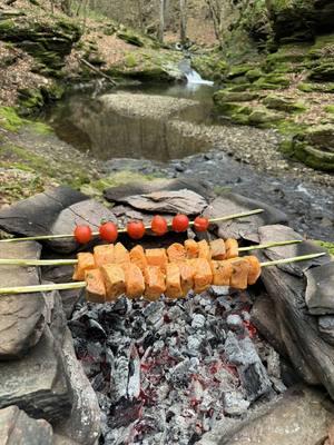 A post by @karadenizli.maceraci on TikTok caption: Şiş Çubukta Norveç Somonu 🍣🐟 Norwegian salmon with orange sauce on a skewer stick 🍣 #fish #outdoorcooking #outdoor #outdoors #nature #camping #balık #fishlover #cookingvideos #yummyfood #foodvideos #forest 