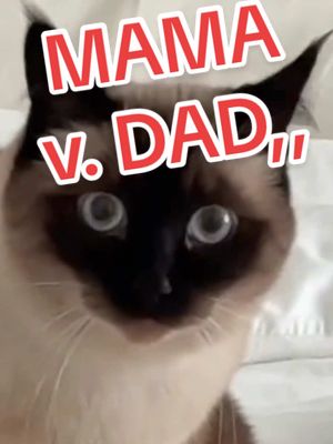 A post by @mervthecat on TikTok caption: A MAMA VS DAD,, LMOA,,, SEND TO , THEY. #BAGAGWA #SuperBowl #funk #doge #catsoftiktok 