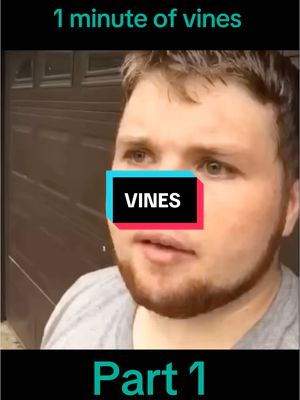 A post by @vinesonlytiktok on TikTok caption: Bringing back vines for you guys  #vines #viral #fypシ゚ #humor #fyp 