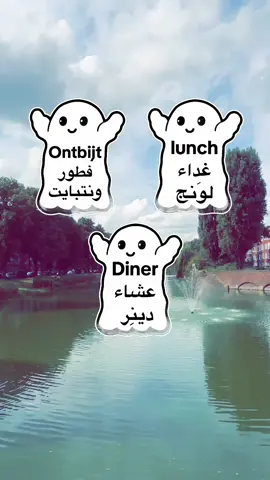 A post by @raymonddillmanalv on TikTok caption: #CapCut #تعليم_اللغة_الهولندية #للمبتدئين #نتعلم_معاً #كل_يوم_جملة #الشعب_الصيني_ماله_حل😂😂 #اكسبلور 