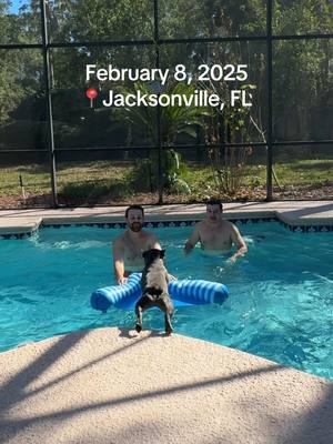 A post by @alexwillyum on TikTok caption: First pool day of the year! #florida #winter 