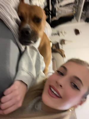 A post by @einfachcaro00 on TikTok caption: I swear he love me 🥹 #dog #dogmum #discodiscopartyparty #doggo #dogsoftiktok #dogs #fyp #fürdich #foryou #justagirl #foryoupage 