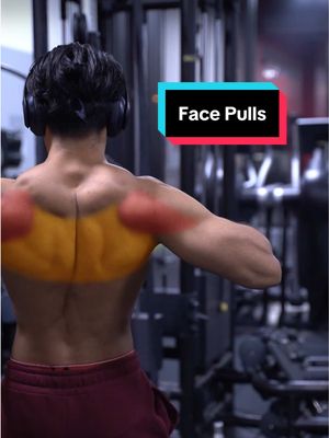 A post by @hazzytrainer on TikTok caption: Carve your Body with Face Pulls ⚠️ . Here are the 3 main form variations of Face Pulls you want to be aware of. 🔥 Variation #1: Pulling towards your Middle Chest will emphasize your Mid-Back (Mid-Traps/Rhomboids). ✅ Variation #2: Pulling towards your Eyes, this will emphasize your Rear Delts & Mid-Back. ✅ Variation #3: Lastly Pulling Above your Head will emphasize your Upper Traps and Side Delts. ✅ And a bit of your Lower Traps as well.  Save this for next time you use Face Pulls. One of the best exercise to strengthen shoulder function. 🔥 Keep crushing it saiyans . #back #facepulls #shoulders 