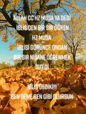 A post by @papatyamm_61 on TikTok caption: #anılar 