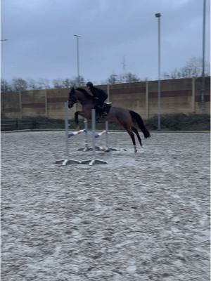 A post by @ikbeninneaangenaam on TikTok caption: Oops hopelijk snel weer wat warmer weer🫢 #younghorse #training #zangersheide #younghorses #younghorsetraining #jumping #oops @SpecialStables 