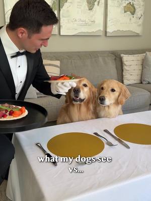 A post by @elliegoldenlife on TikTok caption: What My Dogs See vs Reality 😂  Upgrade mealtime with UnKibble! It’s made with human-grade ingredients and gently dried, so you can give your dog the benefits of fresh food without all that prep. Plus, when you try UnKibble, the promo GOLDEN will save you 60% on your first box! 💛 #spotandtangopartner @Spot & Tango #goldenretrieverlife #dog #smile #food #bffs