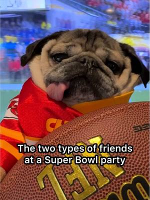 A post by @dougthepug on TikTok caption: Which friend are you? I’m the “hope both teams have fun” and chill with the food friend 🏈 #dougthepug #SuperBowl #football 